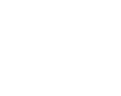 Emergency Garage Door Services
