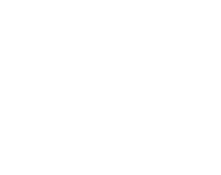 Specialty Locksmith Services